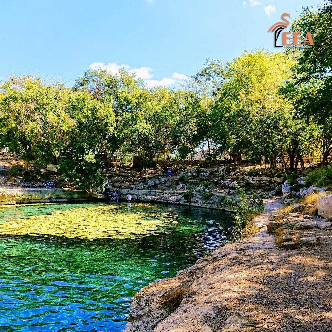 Seguridad y Calidad de vida en Yucatán
